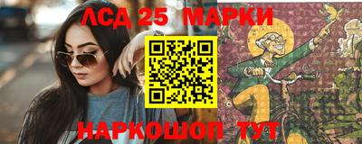 спиды Кинель